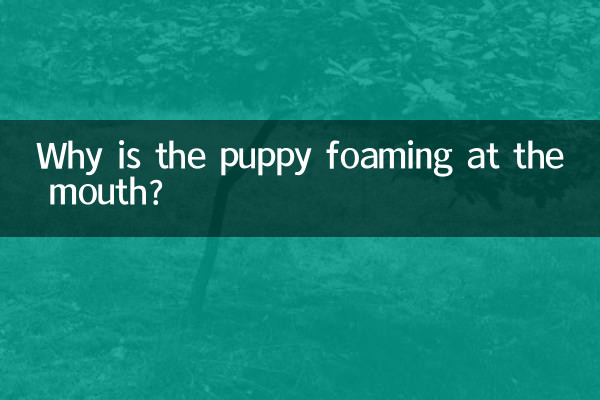 ¿Por qué el cachorro echa espuma por la boca?