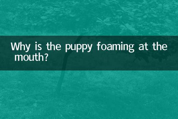 ¿Por qué el cachorro echa espuma por la boca?