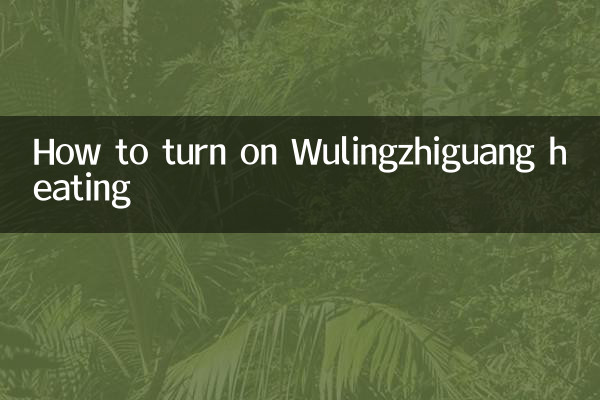 Cómo encender la calefacción Wulingzhiguang