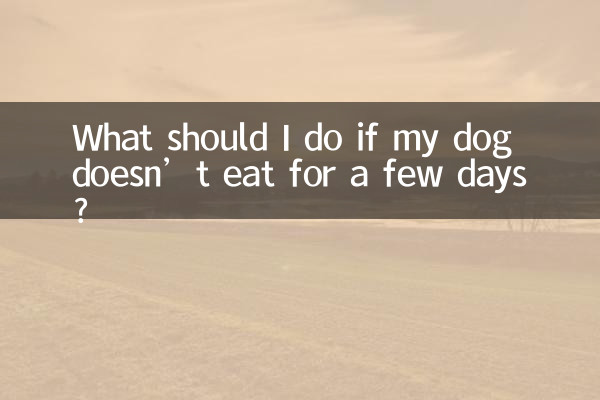 ماذا علي أن أفعل إذا لم يأكل كلبي لبضعة أيام؟