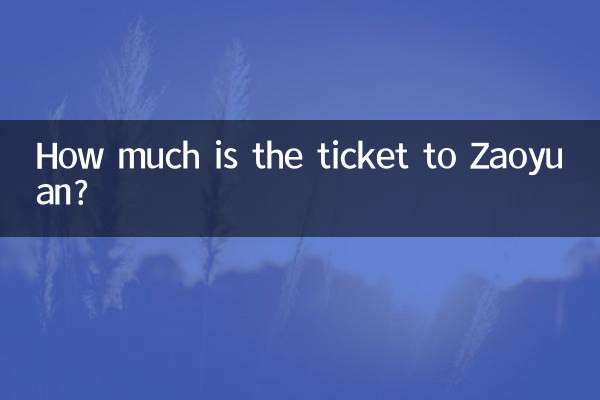 بلیط زائویوان چقدر است؟