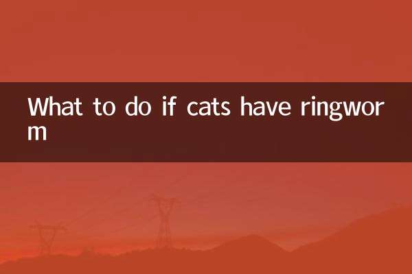 Что делать, если у кошки стригущий лишай