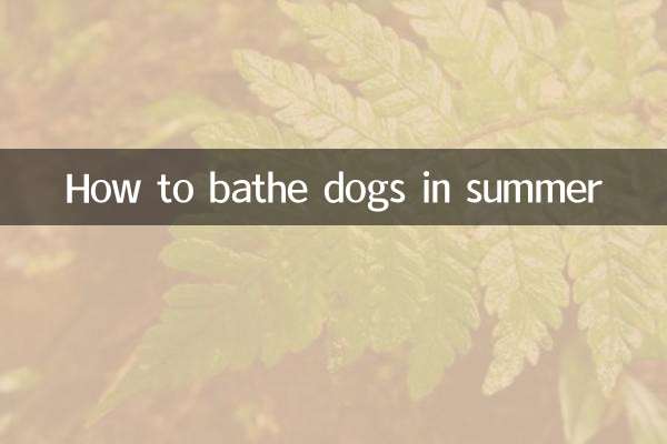كيفية تحميم الكلاب في الصيف