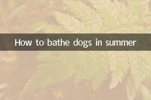نحوه حمام کردن سگ ها در تابستان