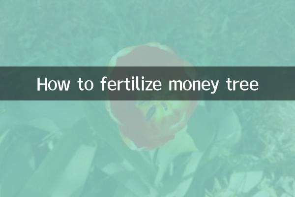 Cómo fertilizar el árbol del dinero