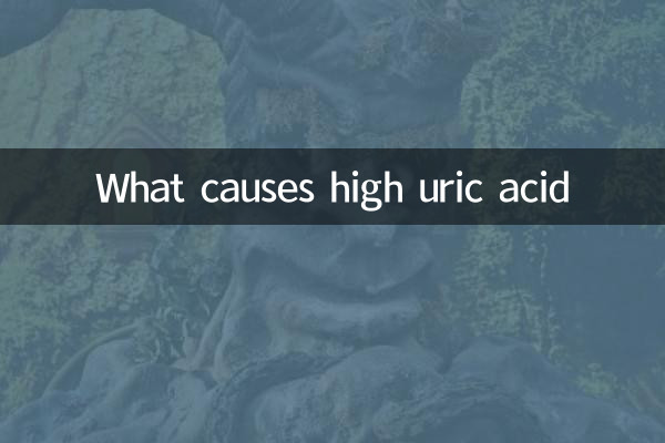 What causes high uric acid