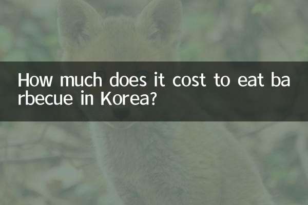 কোরিয়াতে বারবিকিউ খেতে কত খরচ হয়?