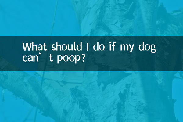 What should I do if my dog can’t poop?