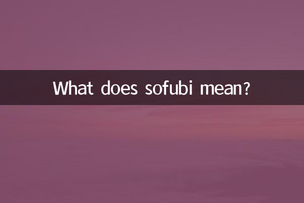 What does sofubi mean?