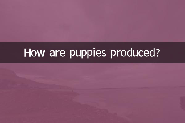 How are puppies produced?