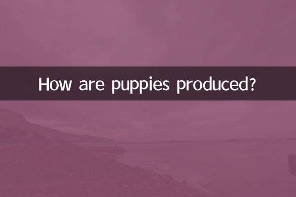 How are puppies produced?