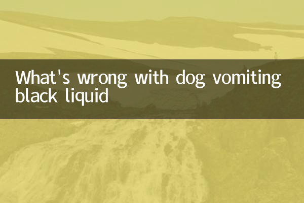 Cosa c'è che non va con il cane che vomita il liquido nero
