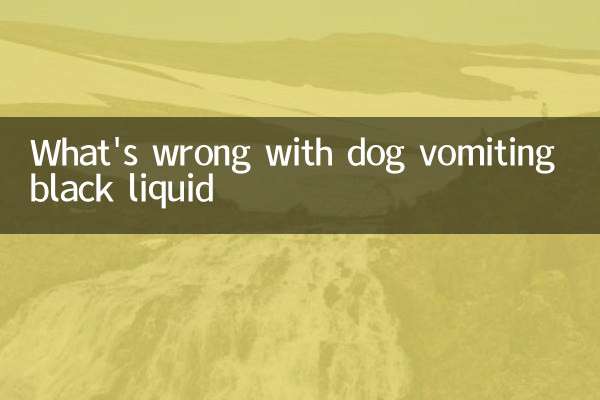 What's wrong with dog vomiting black liquid