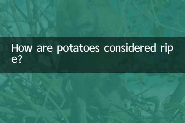 How are potatoes considered ripe?
