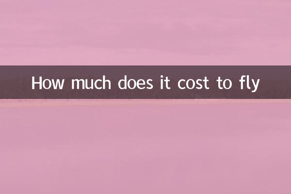 How much does it cost to fly