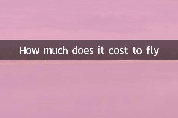 How much does it cost to fly
