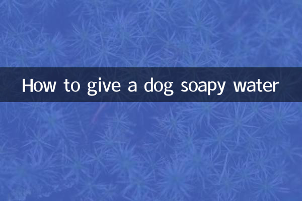 Como dar água com sabão a um cachorro