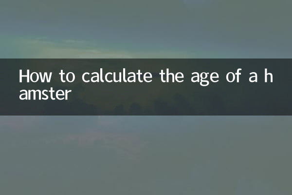 햄스터의 나이를 계산하는 방법