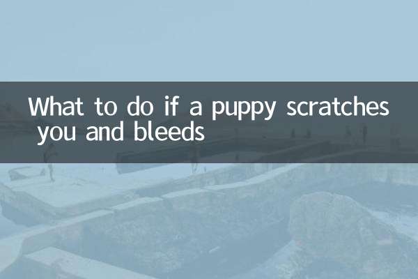 अगर कोई पिल्ला आपको खरोंचे और खून बहे तो क्या करें?