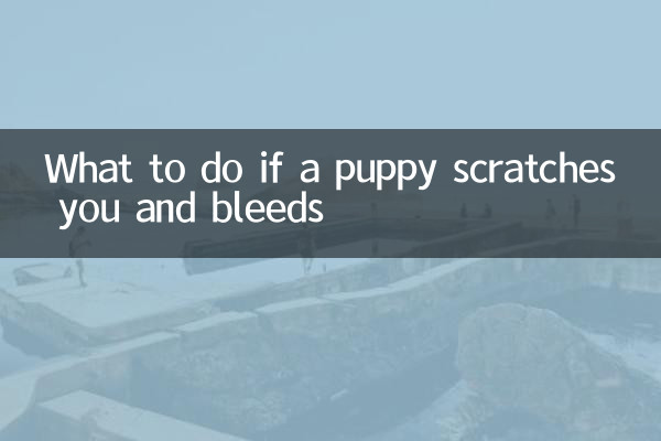 اگر توله سگی شما را خراش داد و خونریزی کرد چه باید کرد؟