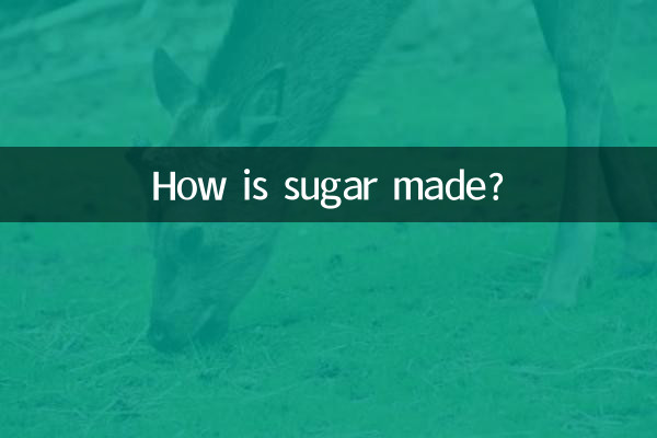 চিনি কিভাবে তৈরি হয়?