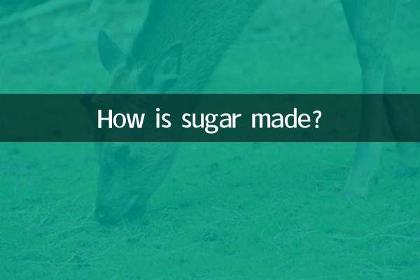 চিনি কিভাবে তৈরি হয়?
