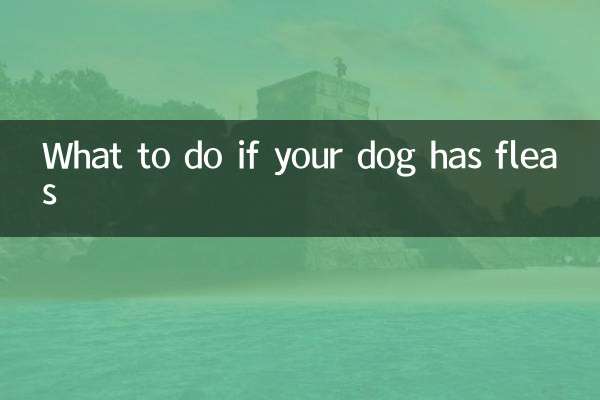 আপনার কুকুর fleas আছে কি করবেন