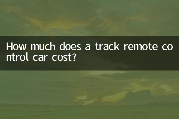 ¿Cuánto cuesta un coche teledirigido de pista?