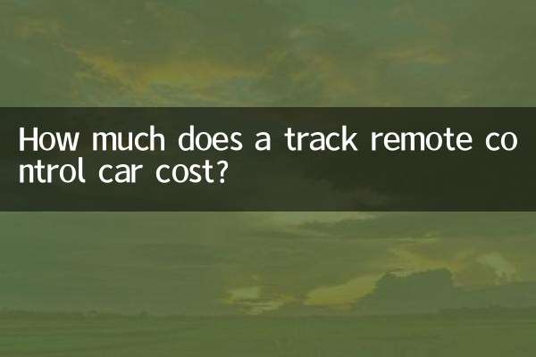 ¿Cuánto cuesta un coche teledirigido de pista?