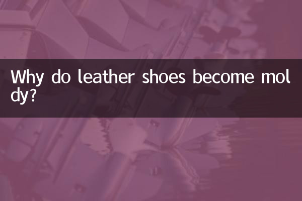 لماذا تصبح الأحذية الجلدية متعفنة؟