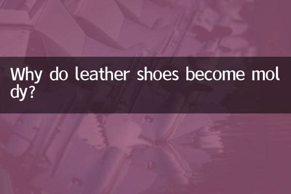 لماذا تصبح الأحذية الجلدية متعفنة؟