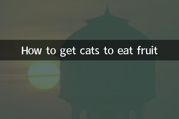 How to get cats to eat fruit