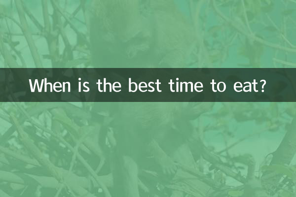 Wann ist die beste Zeit zum Essen?