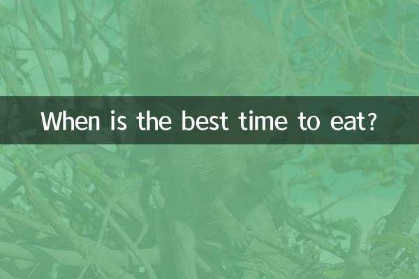 Wann ist die beste Zeit zum Essen?