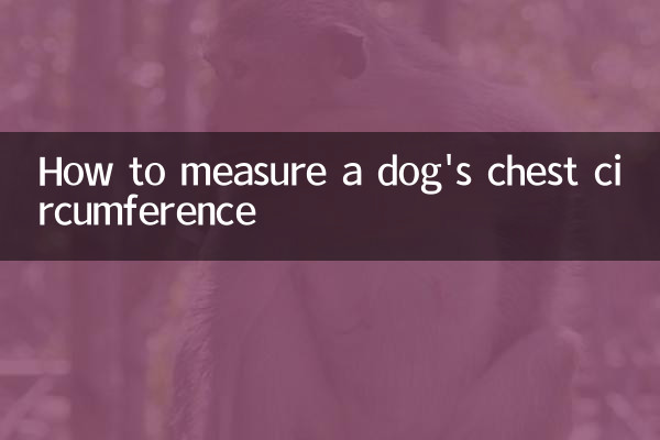 কিভাবে একটি কুকুরের বুকের পরিধি পরিমাপ করা যায়