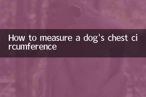 강아지의 가슴 둘레를 측정하는 방법