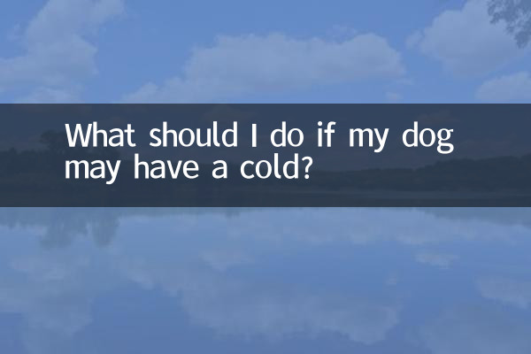 What should I do if my dog may have a cold?