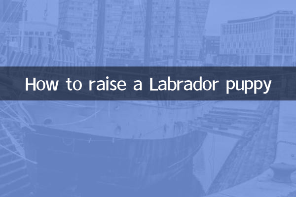 Cómo criar un cachorro labrador