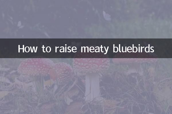 কিভাবে মাংসল ব্লুবার্ড বাড়ানো যায়