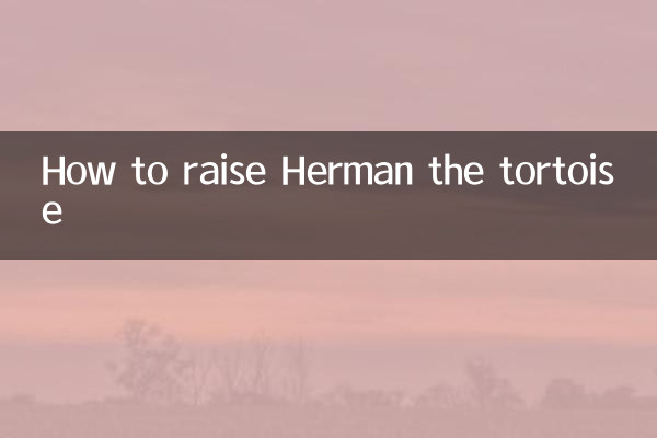 كيفية تربية هيرمان السلحفاة