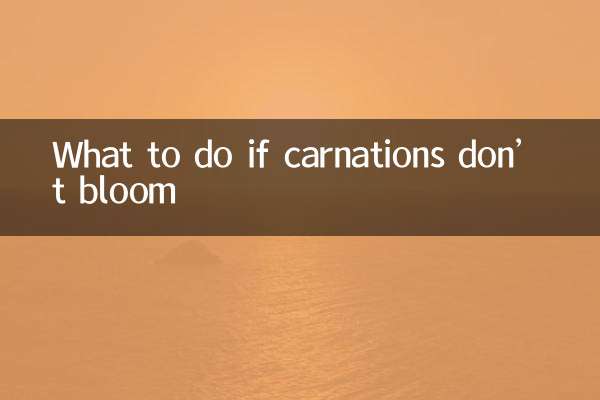 কার্নেশন ফুল না হলে কী করবেন