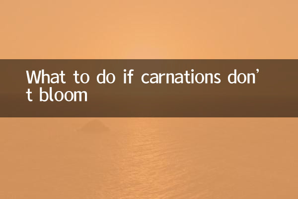 Cosa fare se i garofani non fioriscono