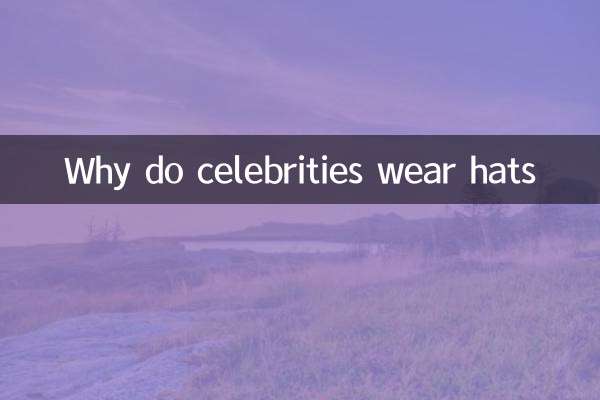 연예인들이 모자를 쓰는 이유