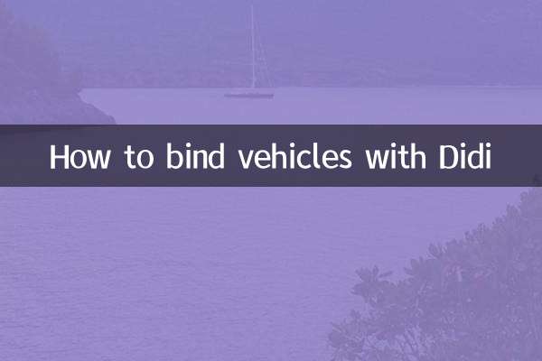 نحوه اتصال وسایل نقلیه با دیدی