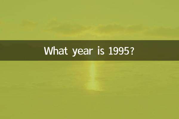 1995년은 몇 년입니까?