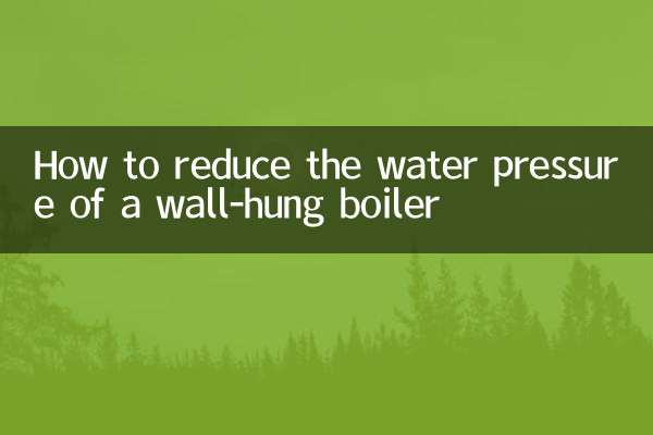 怎麼降壁掛爐的水壓