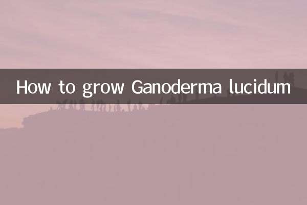 Como cultivar Ganoderma lucidum