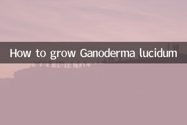 Cómo cultivar Ganoderma lucidum