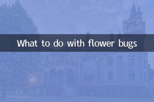 꽃벌레로 무엇을 해야 할까요?