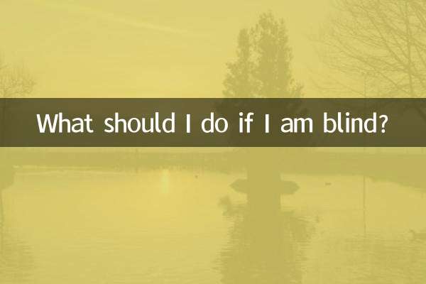What should I do if I am blind?